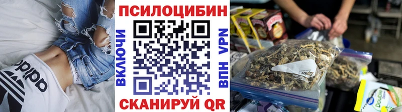 Купить закладки  Луга  Галлюциногенные грибы Cubensis 